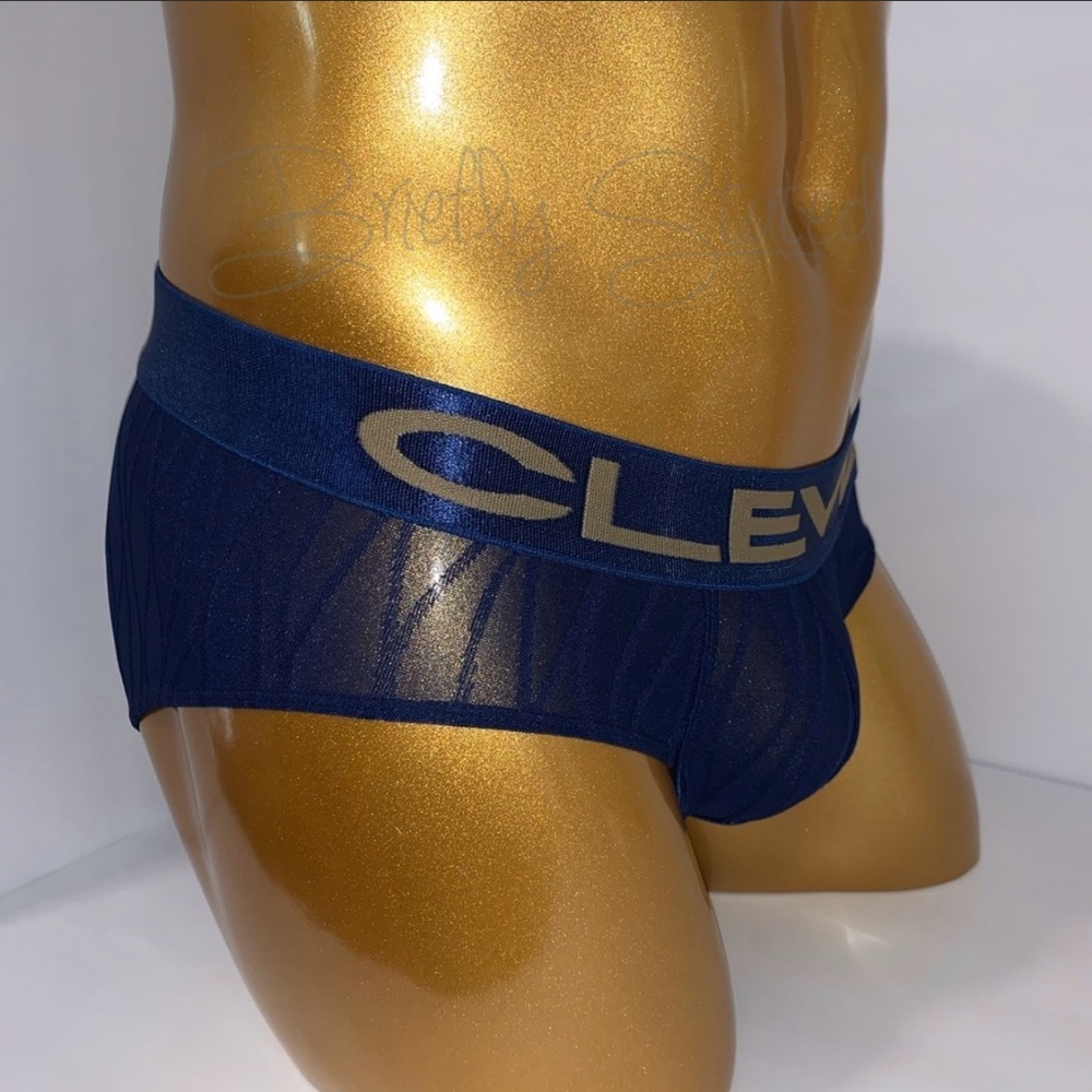 Clever Desert Classic Briefs - Blue (Small)